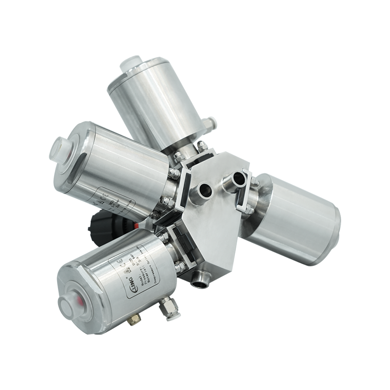 Processus Fermentationis Valvae